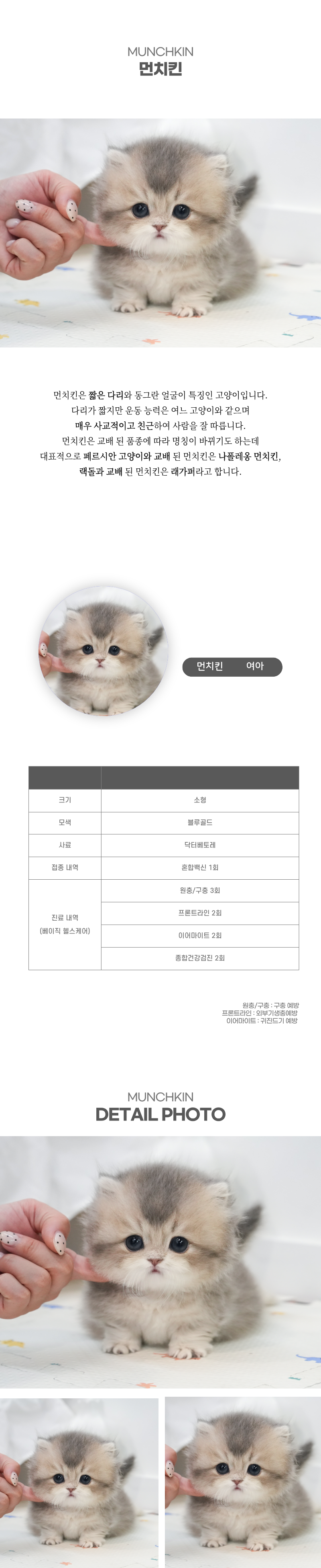 먼치킨_상세이미지_2